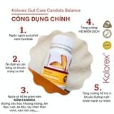 Viên đào thải nấm vùng kín Kolorex Gut Care Candida Balance Dr Chubby