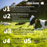 Sữa Non Cao Cấp Cho Trẻ Biếng Ăn, Thấp Còi NZPureHealth Colostrum