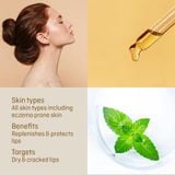 Balm Dưỡng môi hạt gai dầu Hemp Lip Balm