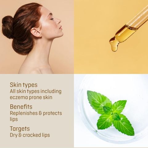 Balm Dưỡng môi hạt gai dầu Hemp Lip Balm