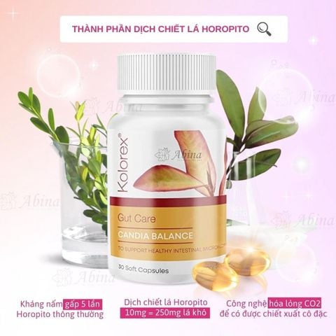 Viên đào thải nấm vùng kín Kolorex Gut Care Candida Balance Dr Chubby