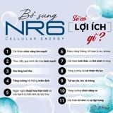 Viên NR6 Xtendlife - Tăng Sinh NAD+, Trẻ Hóa Tế Bào, Buồng Trứng