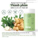 Viên Bổ Não, Tăng Tập Trung & Ghi Nhớ Lifestream Brain Fuel 60 Viên