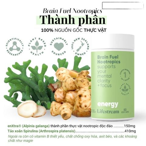 Viên Bổ Não, Tăng Tập Trung & Ghi Nhớ Lifestream Brain Fuel 60 Viên
