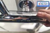 Sen Cây Nóng Lạnh ToTo TBW01303B