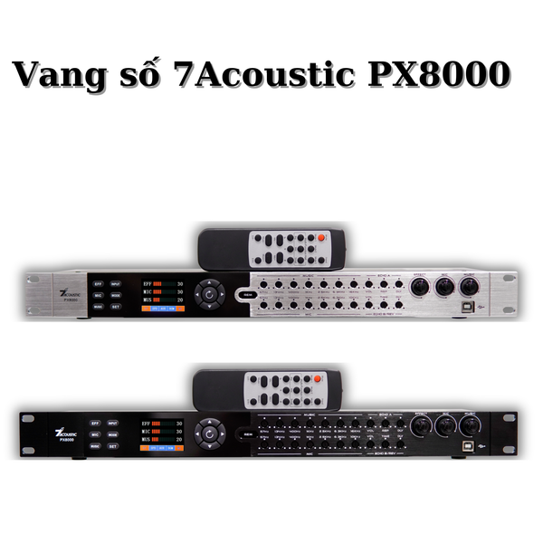 Vang số 7Acoustic PX8000