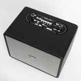 Loa bluetooth 7Acoustic Neotone 1