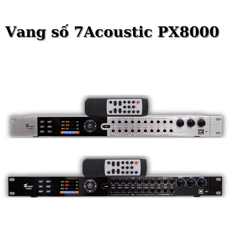 Vang Số 7Acoustic Px8000