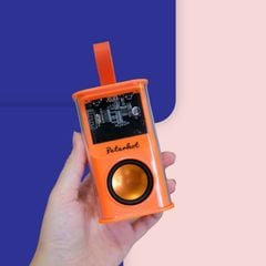 Loa Bluetooth Peterhot Mini 5W Trong Suốt