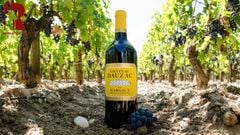 Rượu Vang Pháp Đỏ Château Dauzac