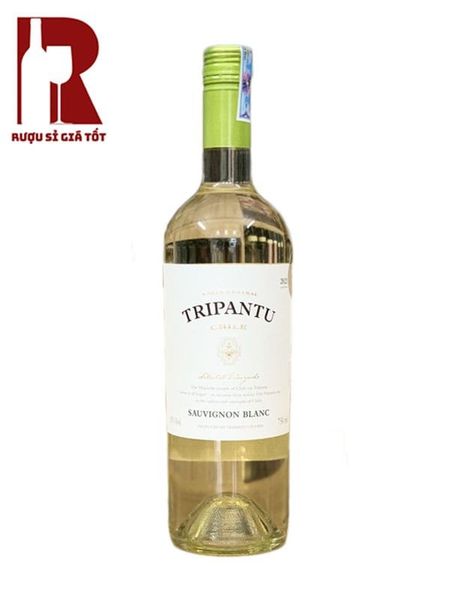 Rượu Vang Chile Trắng Tripantu Sauvignon Blanc