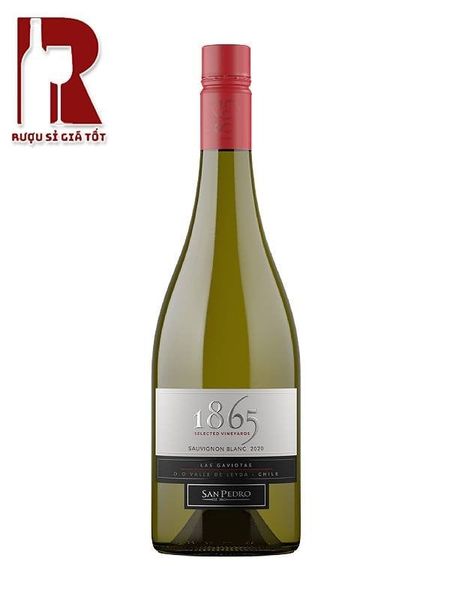 Rượu Vang Chile Trắng 1865 Sauvignon Blanc