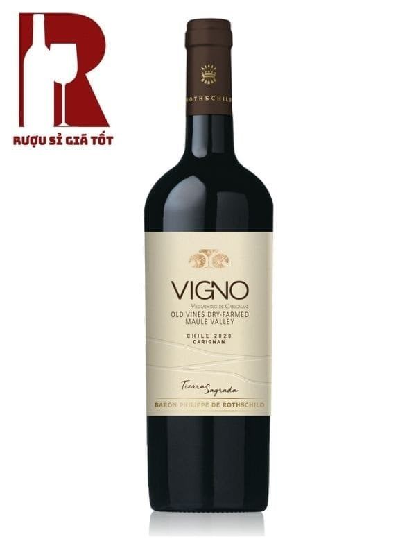 Rượu Vang Chile Đỏ Mapu Tierra Sagrada Carignan Vigno