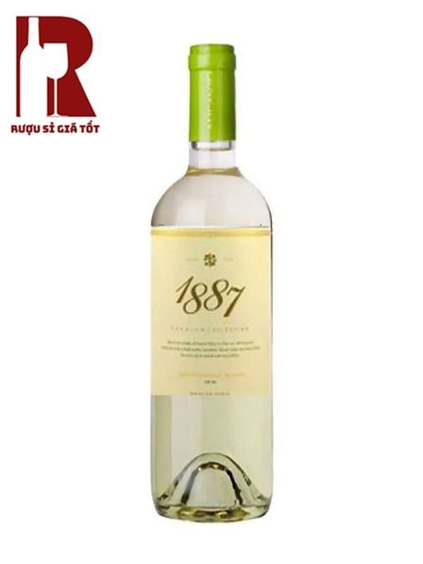 Rượu Vang Chile Trắng 1887 Sauvignon Blanc