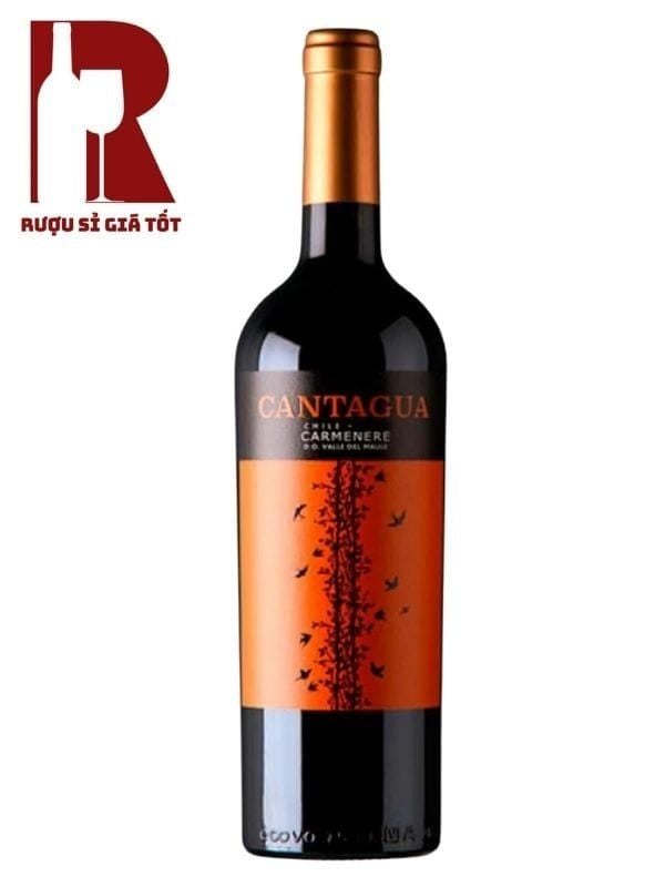 Rượu Vang Chile Đỏ Cantagua Carmenere