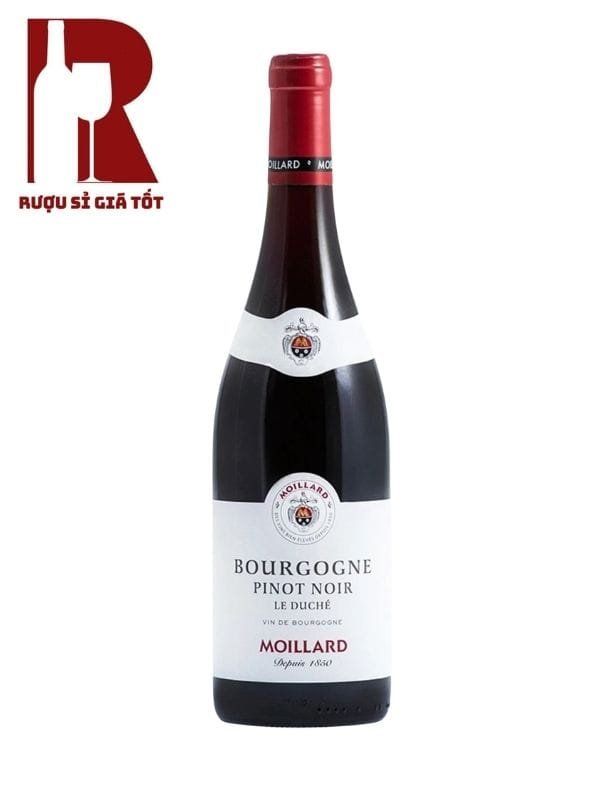 Rượu Vang Pháp Đỏ Moillard Bourgogne Pinot Noir