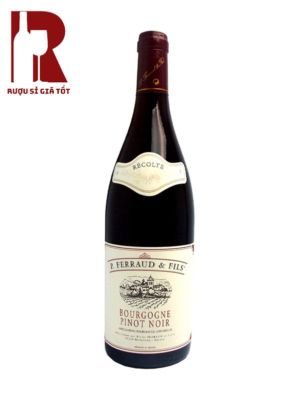 Rượu vang Pháp Ferraud và Fils Pinot Noir Bourgogne