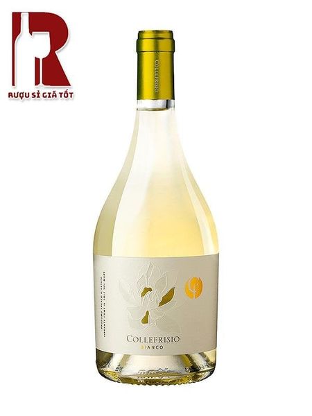 Rượu Vang Ý Trắng CF Collefrisio Bianco