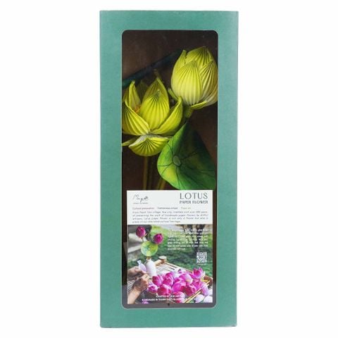 Sen giấy Thanh Tiên