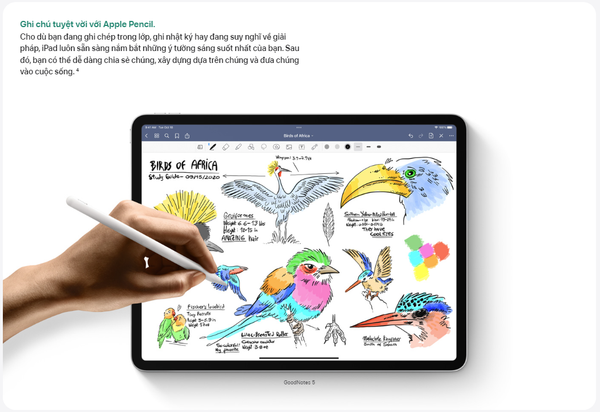 iPad Gen 10 10.9-inch Wi-Fi Chính hãng