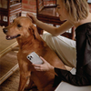 Ốp iPhone 14 Pro Max UNIQ Hybrid Coehl Solitaire