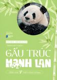  Gấu Trúc Manh Lan - Panda Menglan 