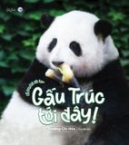  Gấu Trúc Tới Đây! 