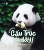  Gấu Trúc Tới Đây! 