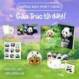  Gấu Trúc Tới Đây! 