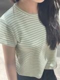  Áo thun nữ  Striped T  A3-060 