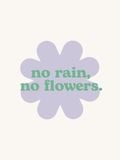  Áo thun nữ  No Rain No Flowers  A3-045-RAIN 