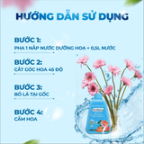 Nước Dưỡng Hoa Cao Cấp DR.NATRO Công Nghệ Nhật Bản 300ml