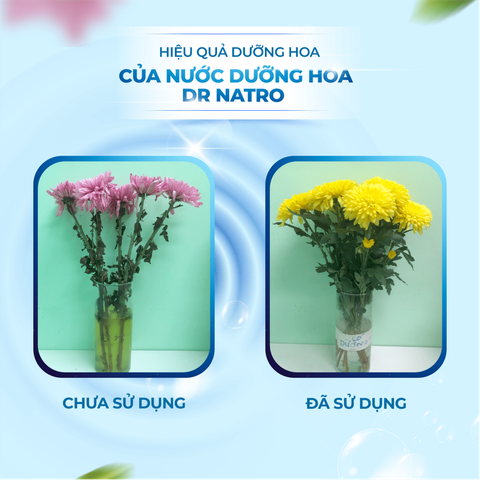 Nước Dưỡng Hoa Cao Cấp DR.NATRO Công Nghệ Nhật Bản 300ml
