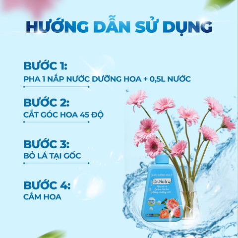 COMBO Nước Dưỡng Hoa & Nước Lau Bàn Thờ DR.NATRO 300ml