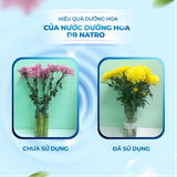 COMBO Nước Dưỡng Hoa & Nước Lau Bàn Thờ DR.NATRO 300ml