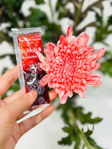 20 gói Nước Nhuộm Màu Hoa DR.NATRO