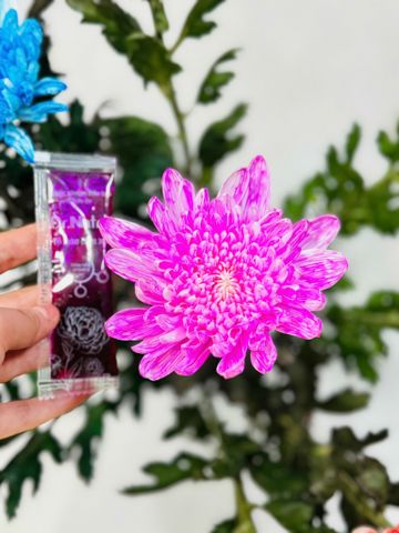 20 gói Nước Nhuộm Màu Hoa DR.NATRO