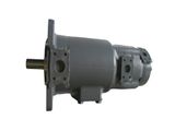  Bơm SQP4-60-86C2-18 (FL81) 