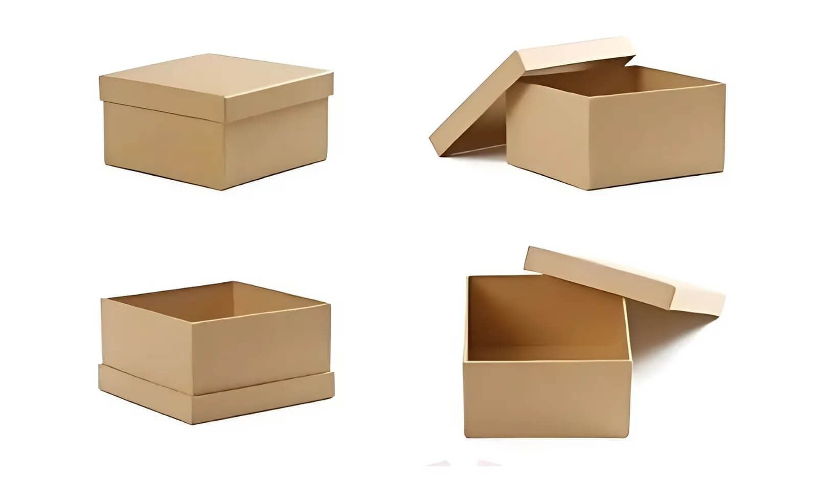  Hộp Carton Âm Dương 