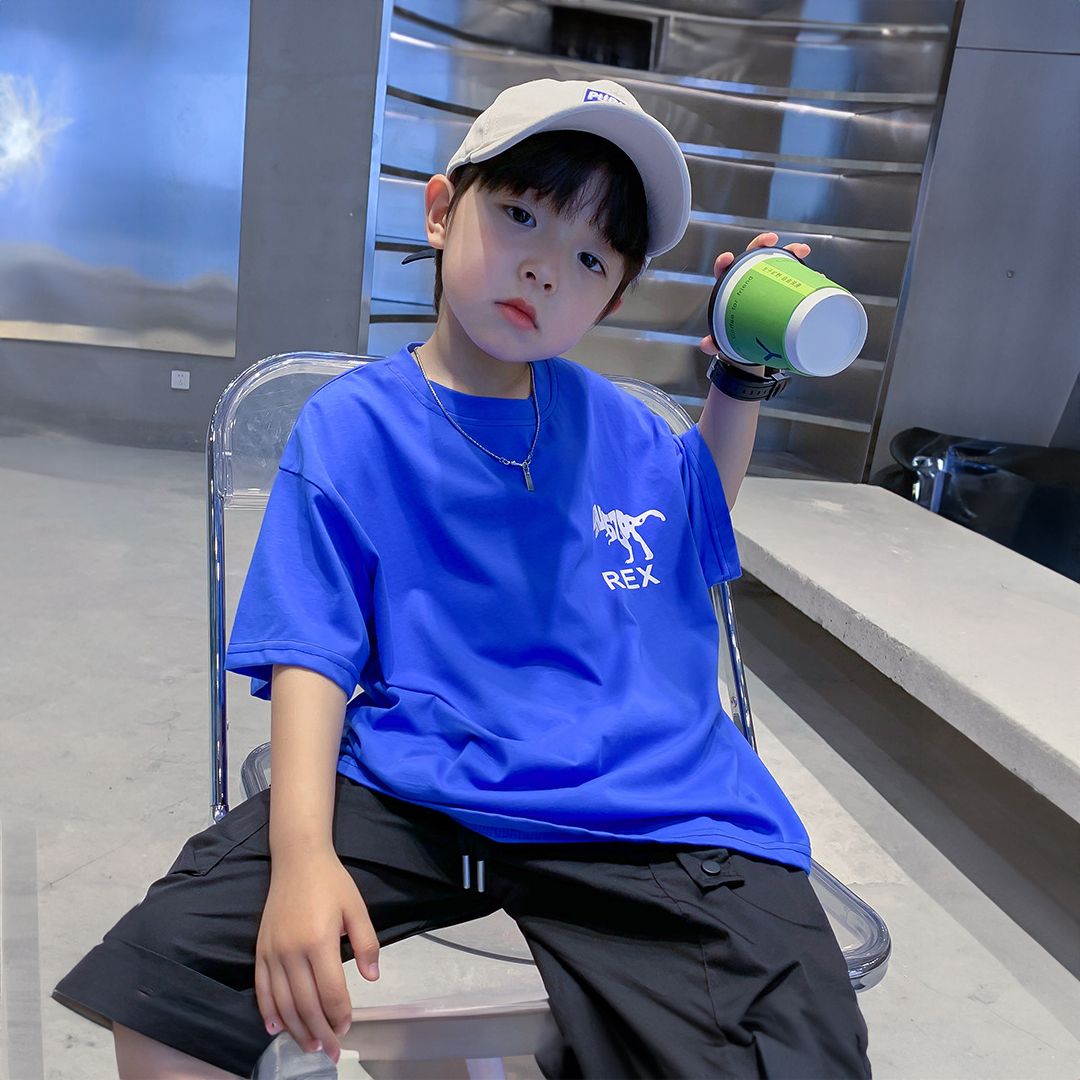 Áo thun ngắn tay A154 - X131