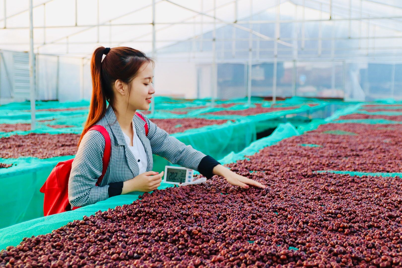  EUDR Vietnam Robusta Ground Coffee Medium Roasted 8.8 Oz (250g) MISS EDE - Bag (Only for Export) 