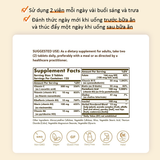 Vitamin Tổng Hợp Solgar B Complex C Stress Formula 100 Viên Nén