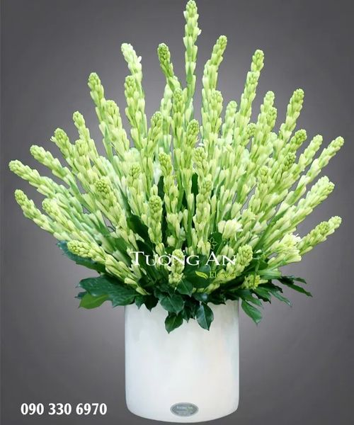  Bình Hoa Huệ - A154 