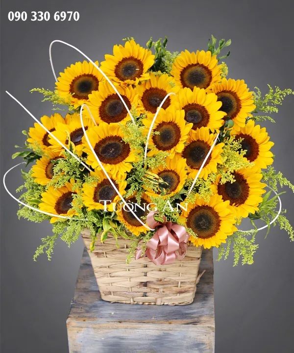 Thời trang - Làm đẹp