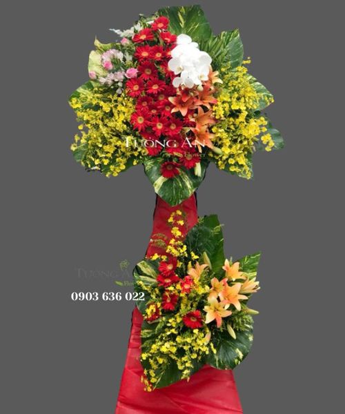 Hoa Chúc Mừng Ánh Sáng Ban Mai