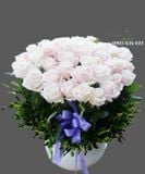  Bình Hoa Áo Hồng - S224 