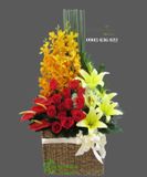  Giỏ Hoa Nhịp Điệu - S75 