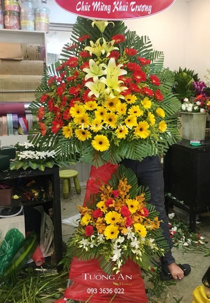  Hoa Chúc Mừng Đại Cát Đại Lợi - S150 