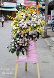  Hoa Chúc Mừng Hồng Phúc - S157 