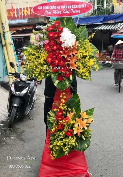 Hoa Chúc Mừng Ánh Sáng Ban Mai